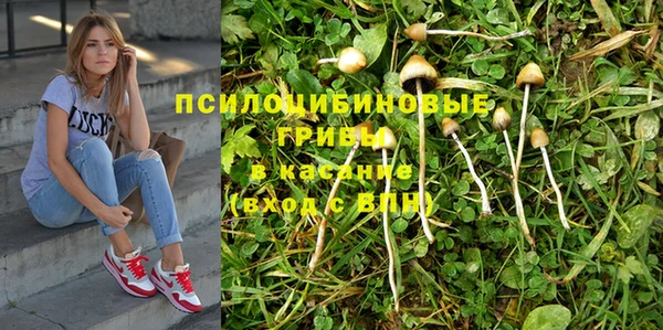 тгк Алексин