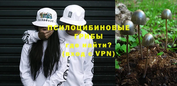 первитин Абинск